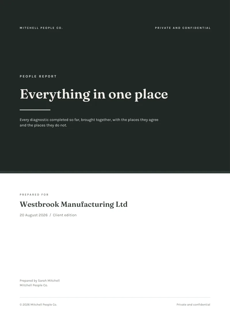The cover of the sample Master Report client edition, carrying the consultant's name and consultancy