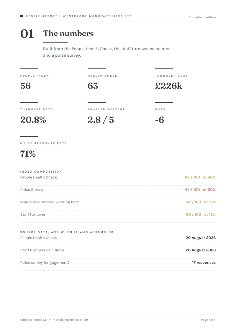 Sample Master Report consultant edition: every figure the People Index is built from