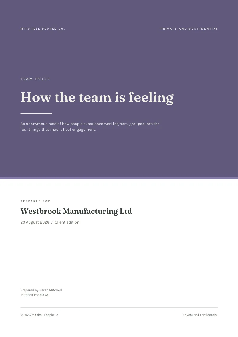 The cover of the sample Team Pulse client report, carrying the consultant's name and consultancy