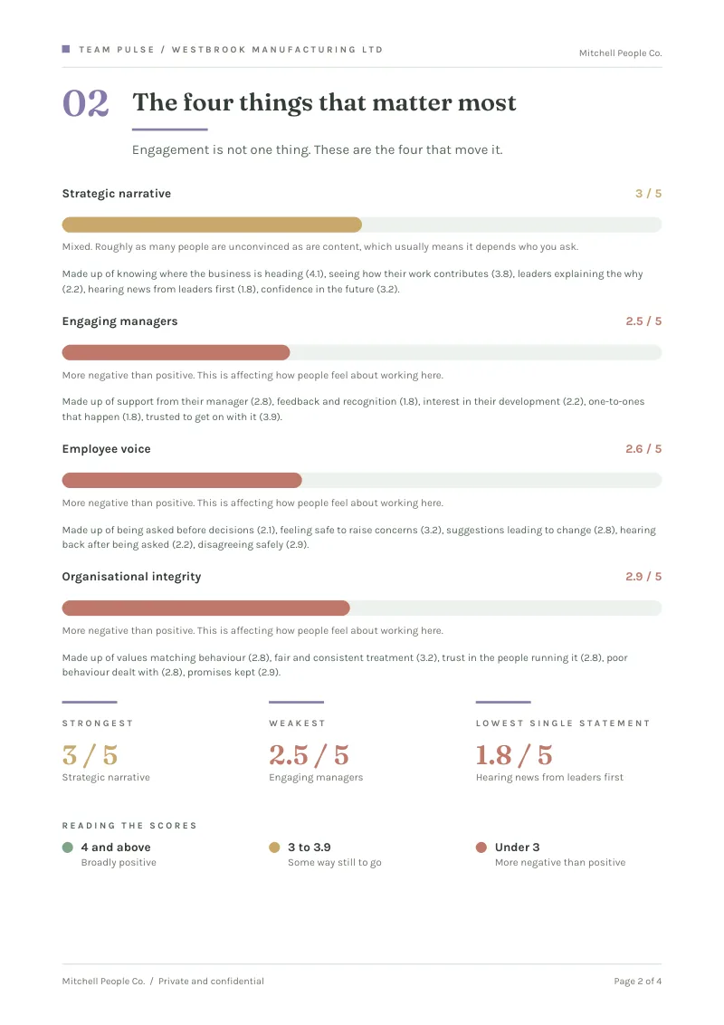 Sample Team Pulse client report: the four enablers scored with a plain-English line each