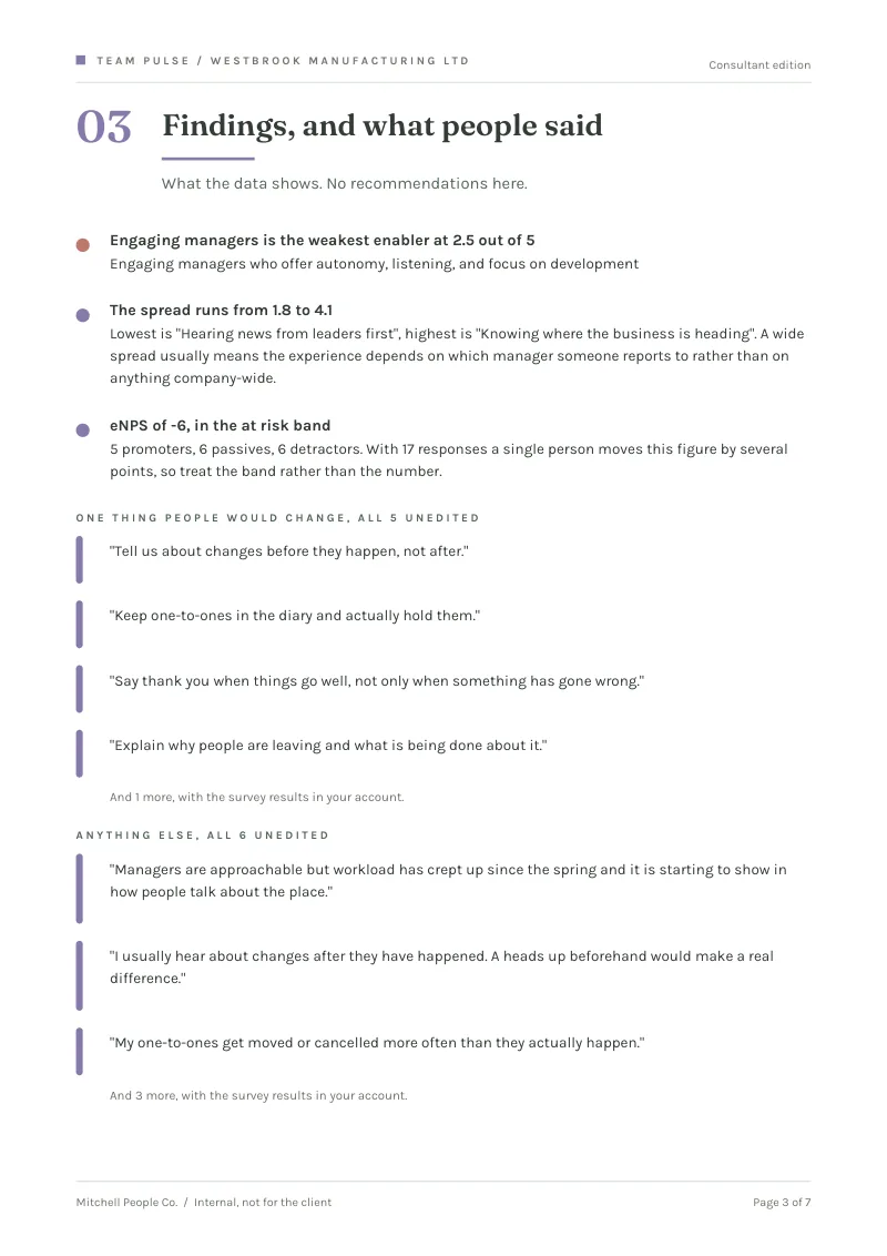 Team Pulse consultant edition: findings