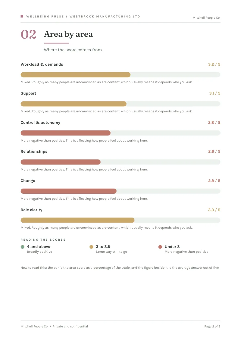 Wellbeing Pulse client report